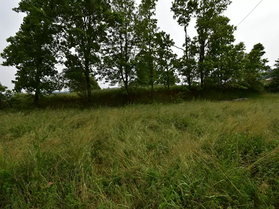 Immagine 6 di Villa in vendita  in SS517 a Buonabitacolo