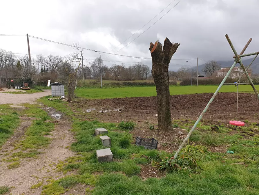 Immagine 2 di Rustico / casale in vendita  in Strada Comunale Rifrezza a Padula