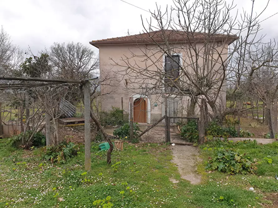 Immagine 5 di Rustico / casale in vendita  in Strada Comunale Rifrezza a Padula