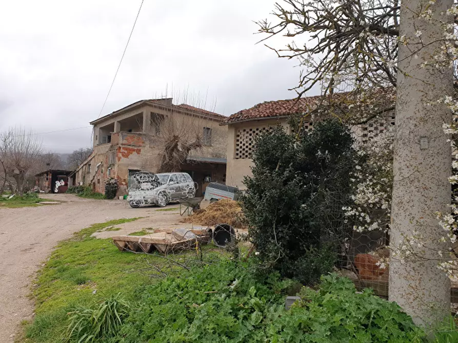 Immagine 7 di Rustico / casale in vendita  in Strada Comunale Rifrezza a Padula