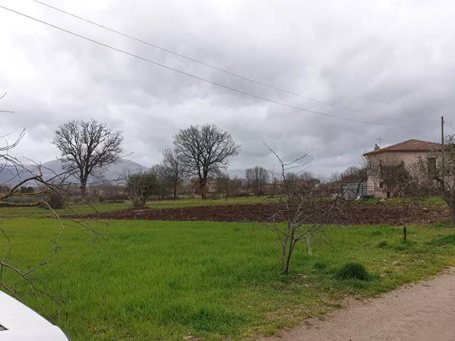 Immagine 8 di Rustico / casale in vendita  in Strada Comunale Rifrezza a Padula