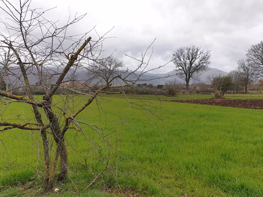 Immagine 9 di Rustico / casale in vendita  in Strada Comunale Rifrezza a Padula