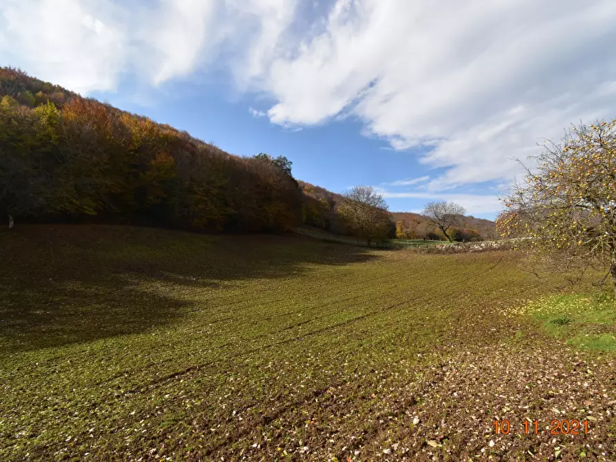 Immagine 9 di Rustico / casale in vendita  a Montesano Sulla Marcellana