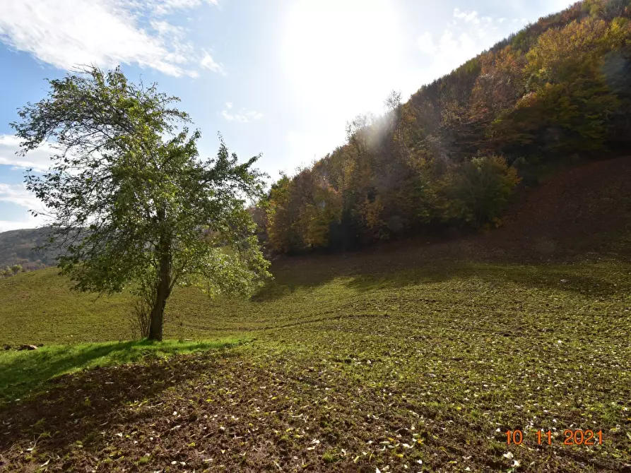 Immagine 10 di Rustico / casale in vendita  a Montesano Sulla Marcellana