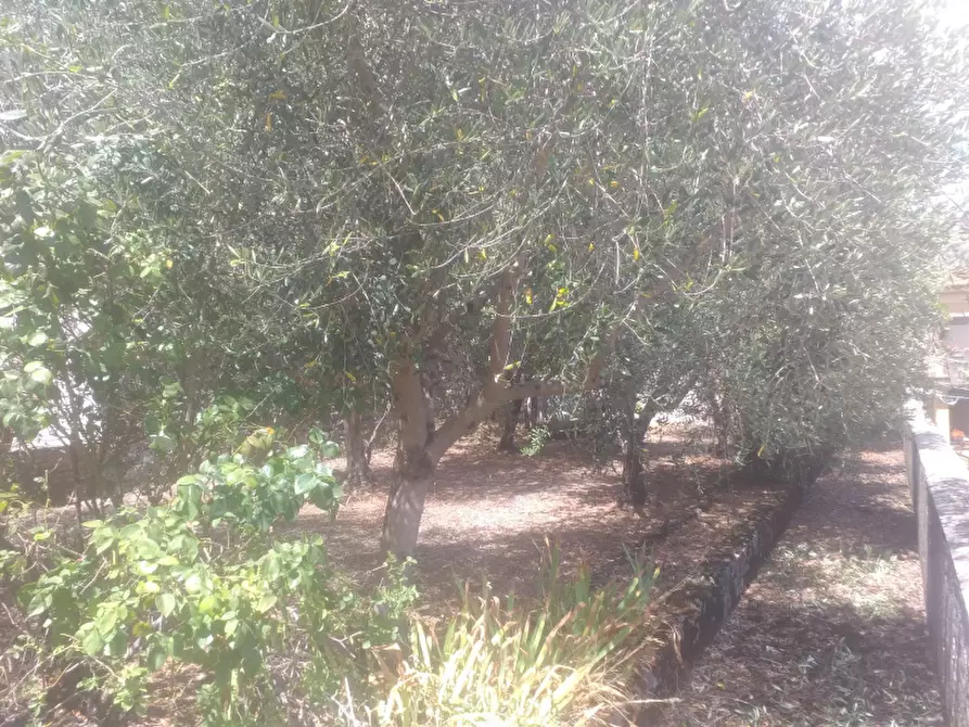 Immagine 6 di Villa in vendita  in Corso Umberto I a Sassano