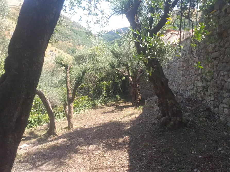 Immagine 10 di Villa in vendita  in Corso Umberto I a Sassano