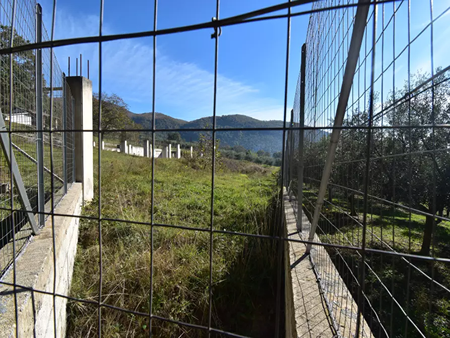 Immagine 2 di Terreno edificabile in vendita  a Sala Consilina