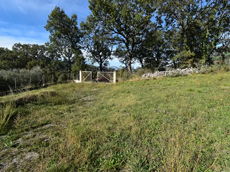 Immagine 5 di Terreno edificabile in vendita  a Sala Consilina