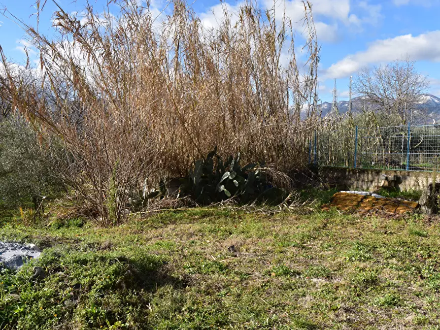 Immagine 9 di Terreno agricolo in vendita  in Via Viscigliete a Sala Consilina