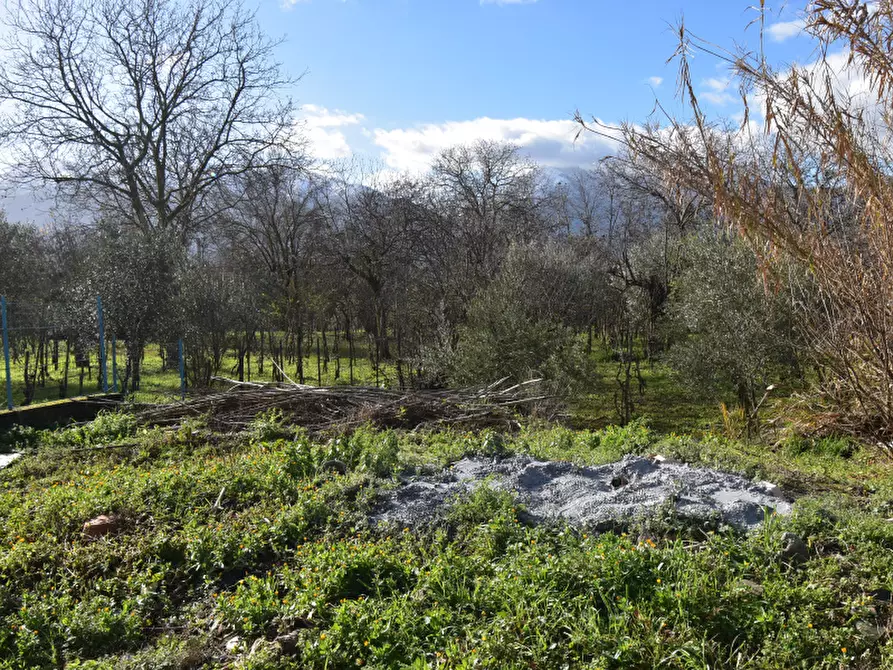 Immagine 10 di Terreno agricolo in vendita  in Via Viscigliete a Sala Consilina