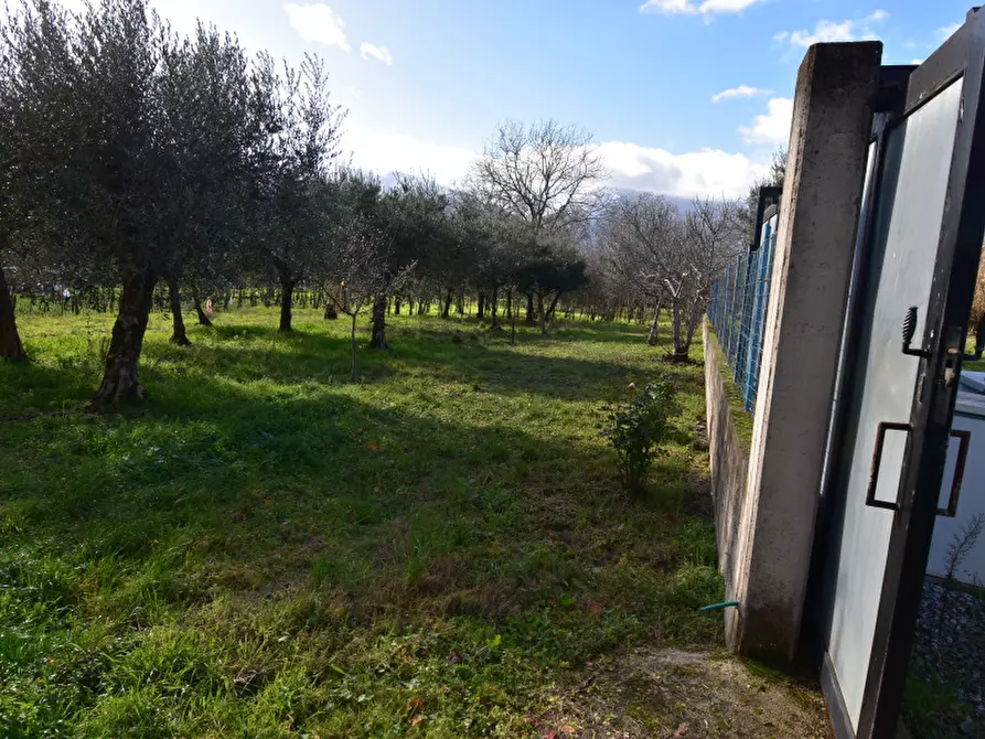 Immagine 12 di Terreno agricolo in vendita  in Via Viscigliete a Sala Consilina