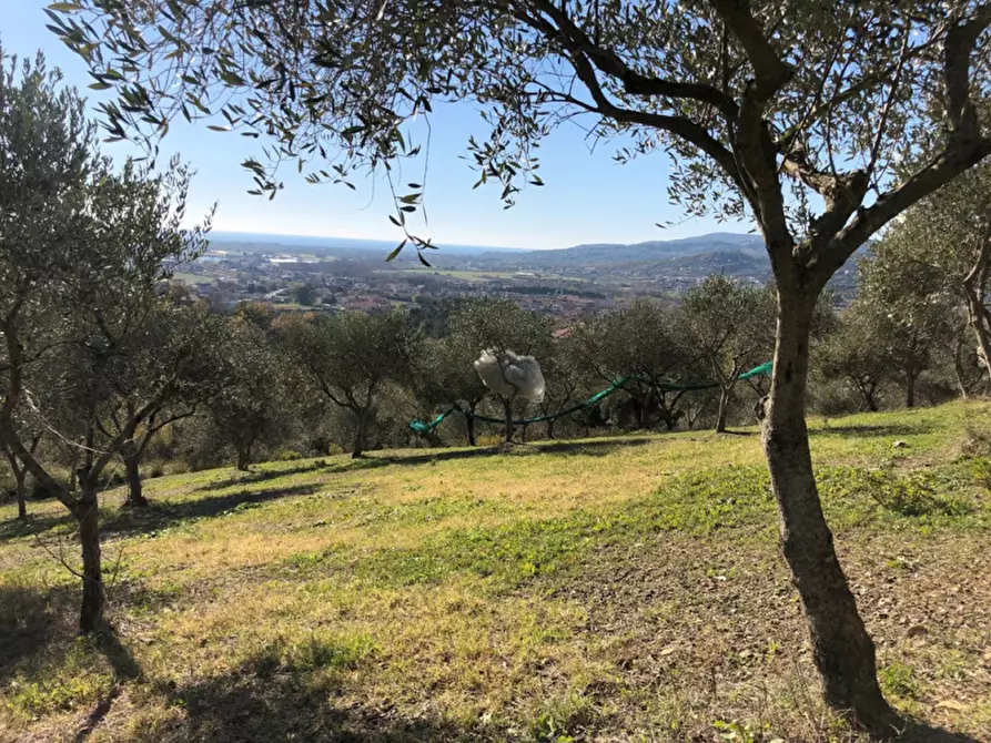 Immagine 1 di Terreno agricolo in vendita  in Via San Nicola a Castelnuovo Cilento