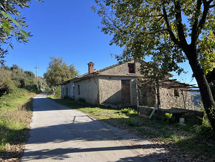 Immagine 1 di Rustico / casale in vendita  in Contrada Chianca a Omignano