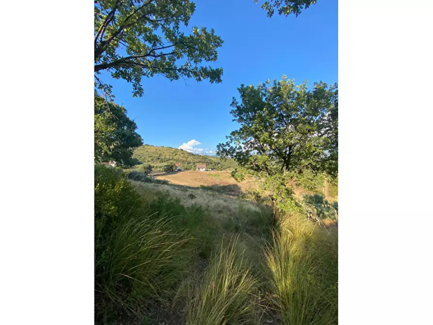 Immagine 3 di Terreno edificabile in vendita  in Via San Nicola a Castelnuovo Cilento