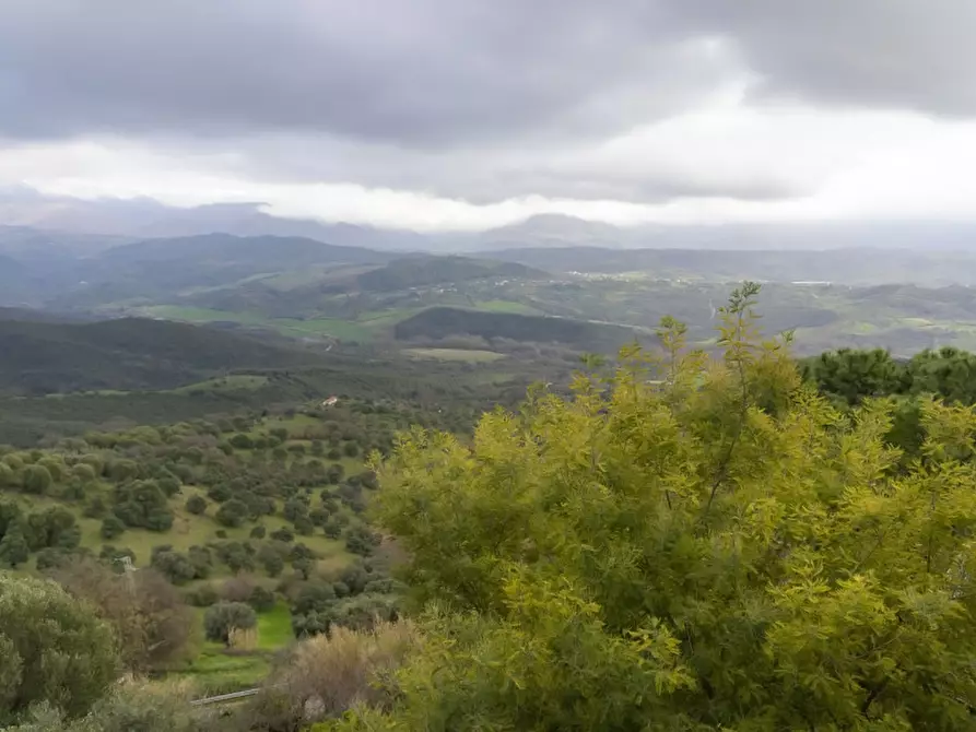 Immagine 2 di Appartamento in vendita  in Via Roma a Castelnuovo Cilento