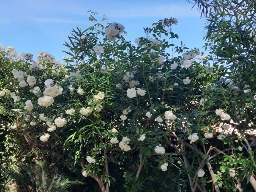Immagine 11 di Villa in vendita  in Piazza del Poggio a Anzio