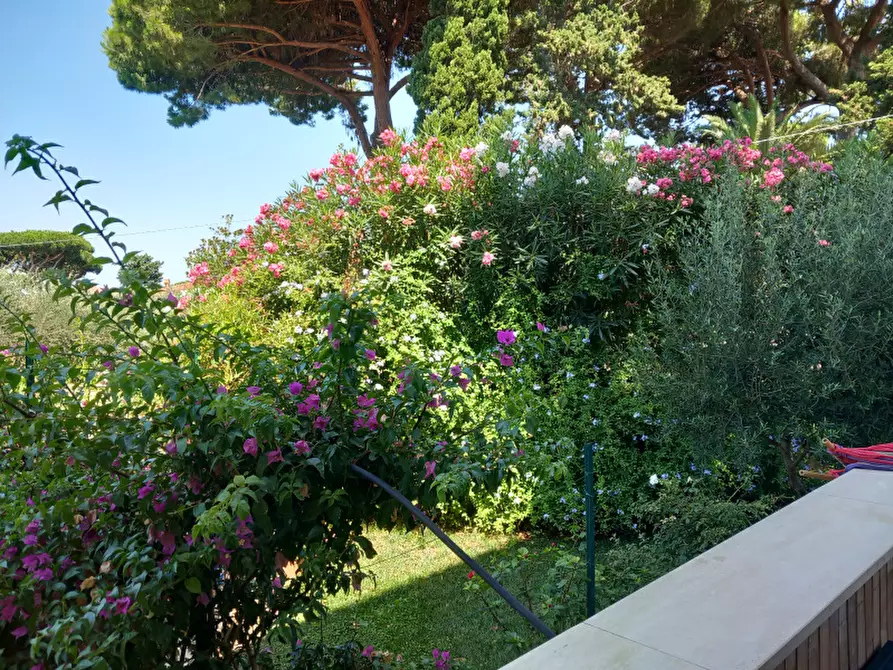 Immagine 13 di Villa in vendita  in Piazza del Poggio a Anzio