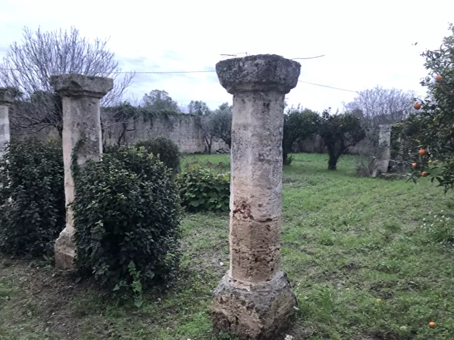 Immagine 11 di Villa in vendita  in Contrada Casalino a Francavilla Fontana