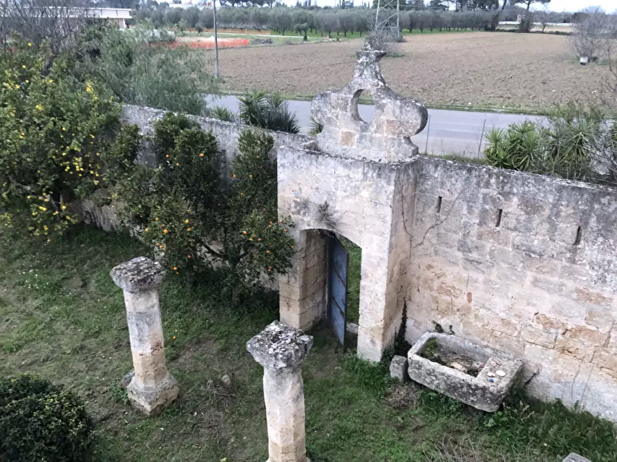 Immagine 5 di Villa in vendita  in Contrada Casalino a Francavilla Fontana