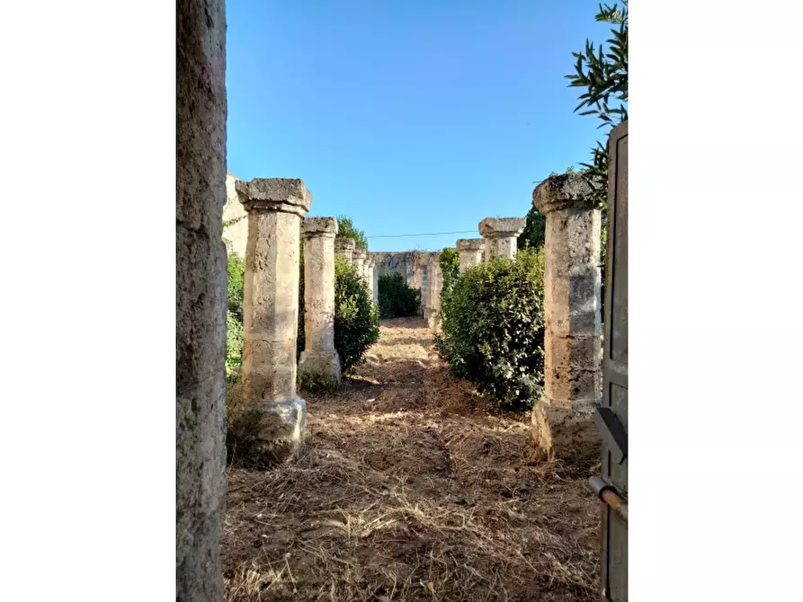 Immagine 3 di Villa in vendita  in Contrada Casalino a Francavilla Fontana