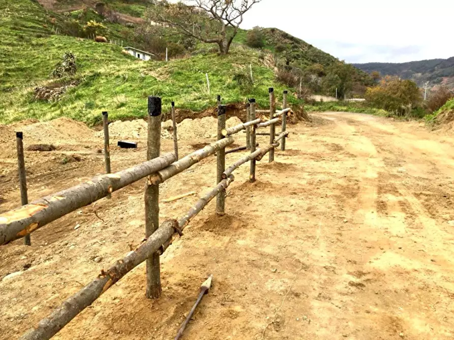 Immagine 1 di Terreno agricolo in vendita  in Contrada San Filippo a Messina