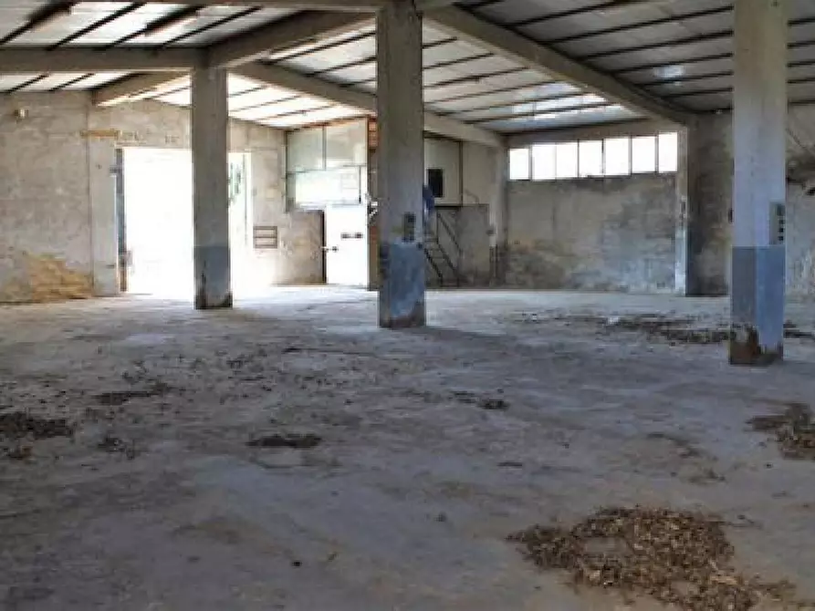 Immagine 7 di Capannone industriale in vendita  in Via Catullo a Bagheria