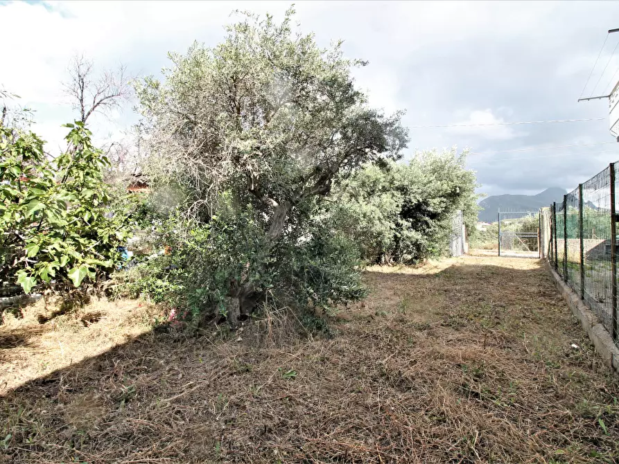 Immagine 1 di Terreno agricolo in vendita  in Via Giovanni Guareschi a Santa Flavia