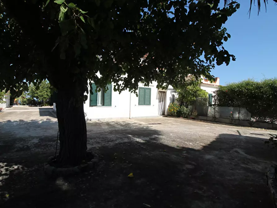 Immagine 3 di Villa in vendita  in Contrada Quaranta Salme a Termini Imerese