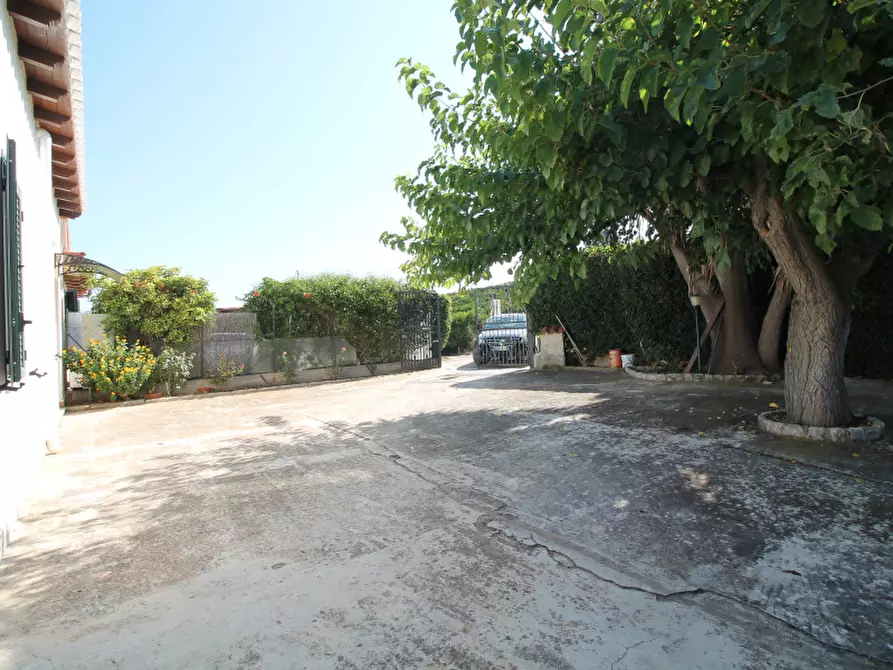 Immagine 7 di Villa in vendita  in Contrada Quaranta Salme a Termini Imerese