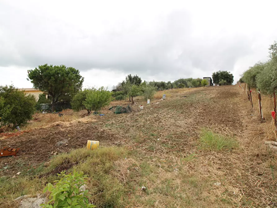 Immagine 1 di Terreno agricolo in vendita  in Strada Vicinale Incorvino Santa Caterina 2 a Bagheria