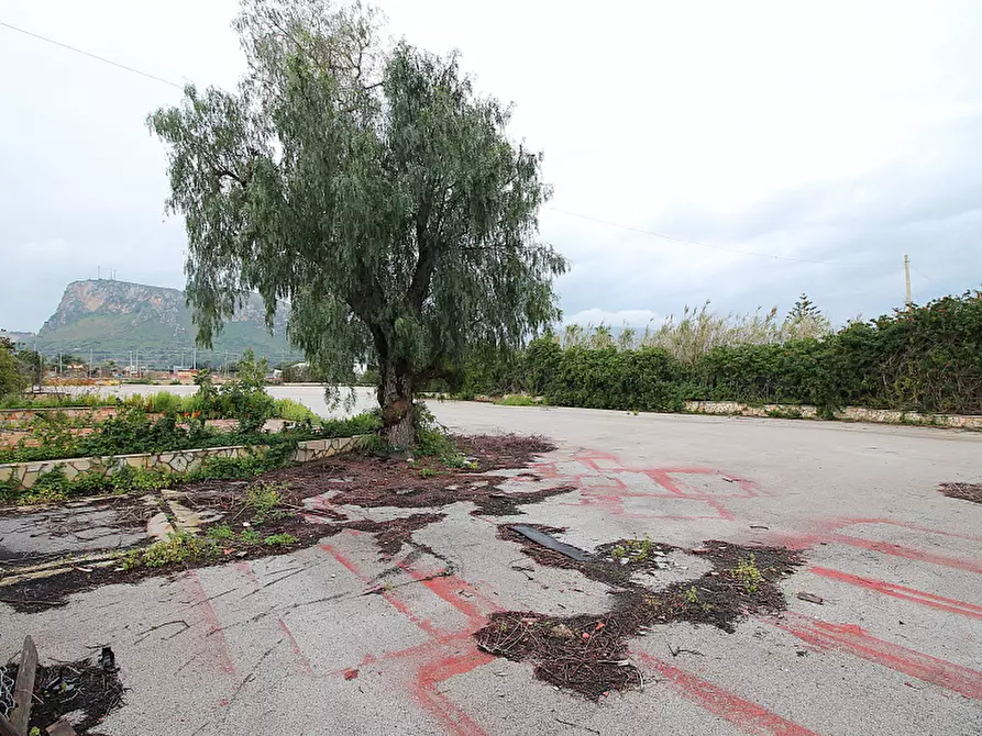 Immagine 6 di Terreno edificabile in affitto  in Strada Vicinale Marino 3 a Bagheria