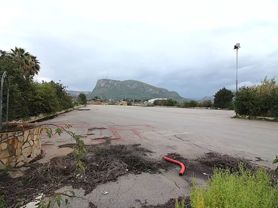Immagine 8 di Terreno edificabile in affitto  in Strada Vicinale Marino 3 a Bagheria