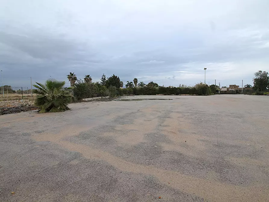 Immagine 14 di Terreno edificabile in affitto  in Strada Vicinale Marino 3 a Bagheria