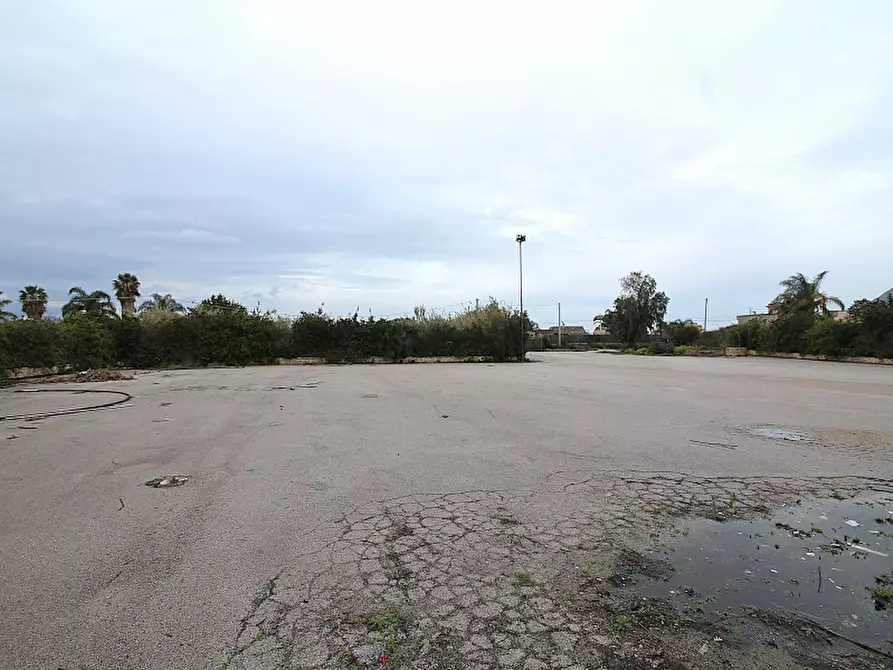 Immagine 17 di Terreno edificabile in affitto  in Strada Vicinale Marino 3 a Bagheria