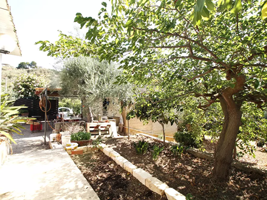 Immagine 12 di Villa in vendita  in Strada Vicinale Lanzirotti Monte a Bagheria