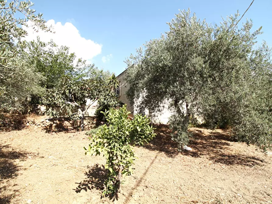 Immagine 13 di Villa in vendita  in Strada Vicinale Lanzirotti Monte a Bagheria