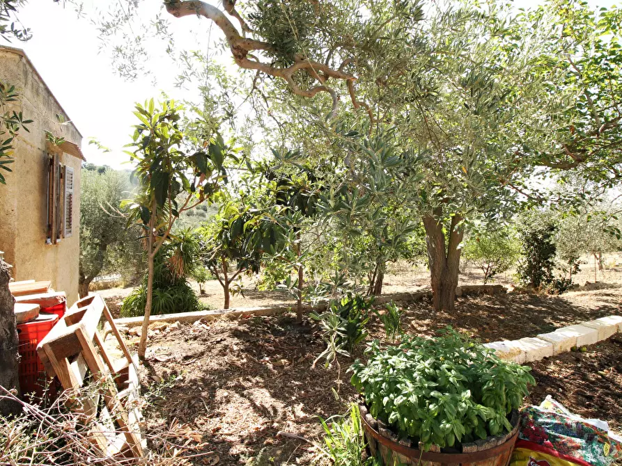 Immagine 14 di Villa in vendita  in Strada Vicinale Lanzirotti Monte a Bagheria