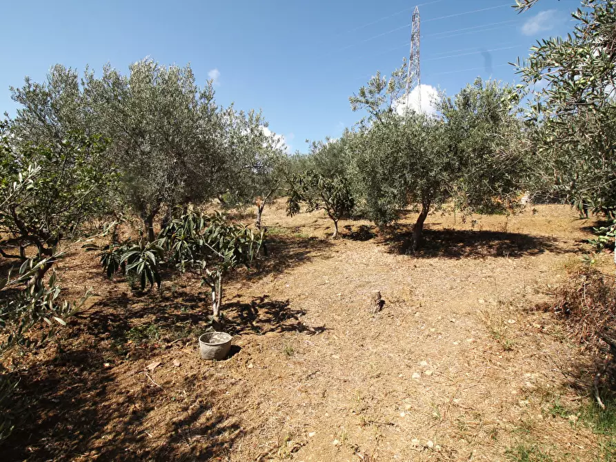 Immagine 17 di Villa in vendita  in Strada Vicinale Lanzirotti Monte a Bagheria