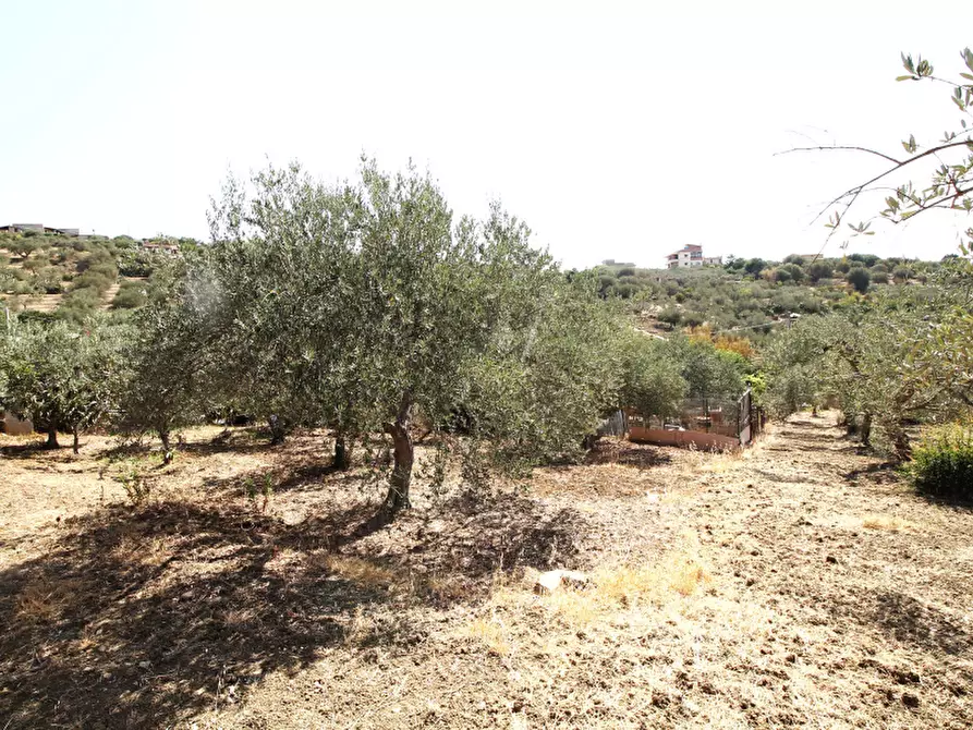 Immagine 18 di Villa in vendita  in Strada Vicinale Lanzirotti Monte a Bagheria