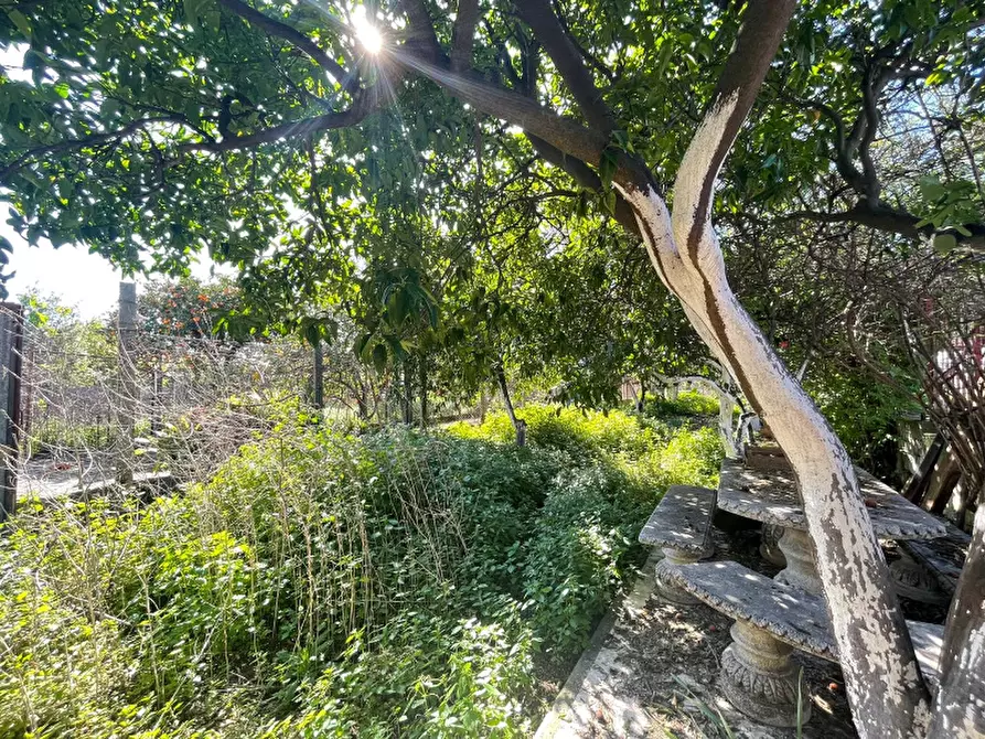 Immagine 24 di Appartamento in vendita  in Via Gennaro Falanga a Boscoreale