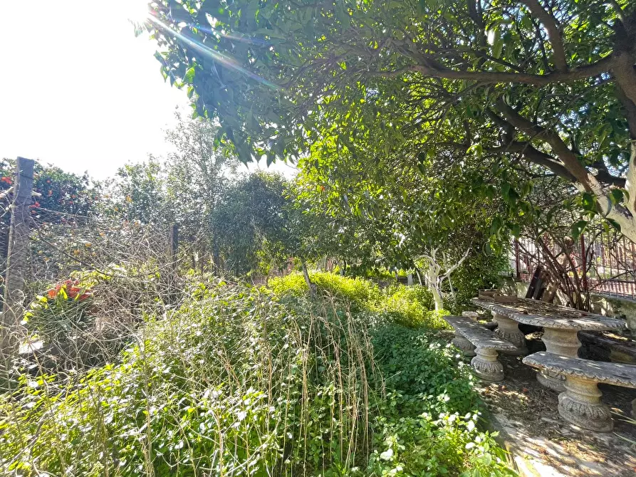 Immagine 22 di Appartamento in vendita  in Via Gennaro Falanga a Boscoreale