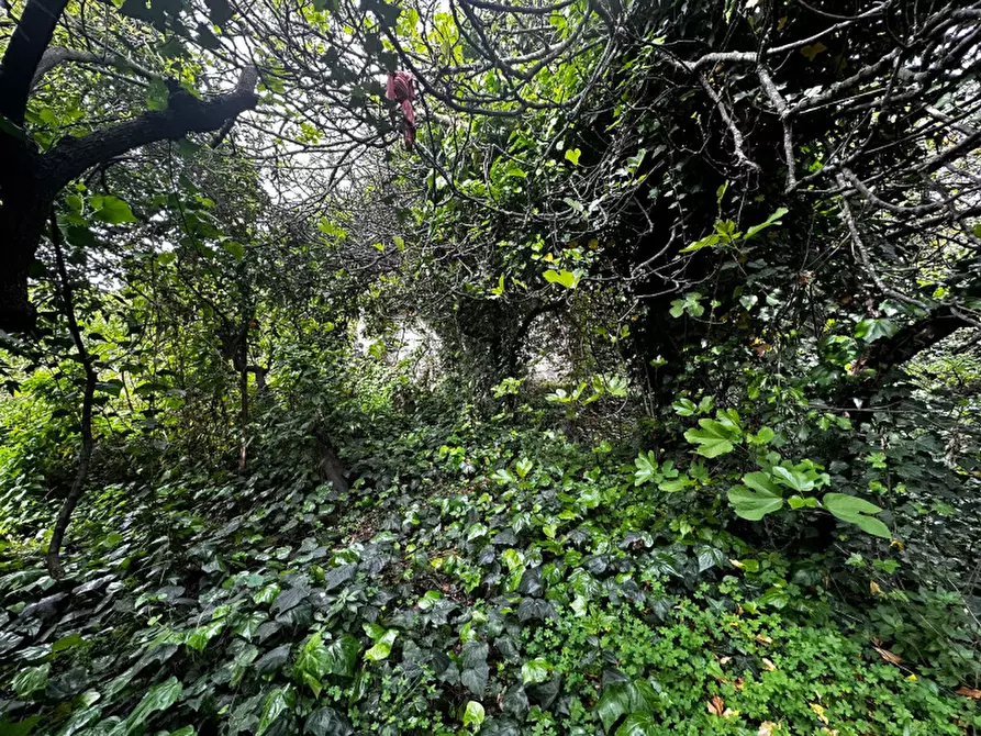 Immagine 19 di Appartamento in vendita  in Via Salvo D'Acquisto a Boscotrecase