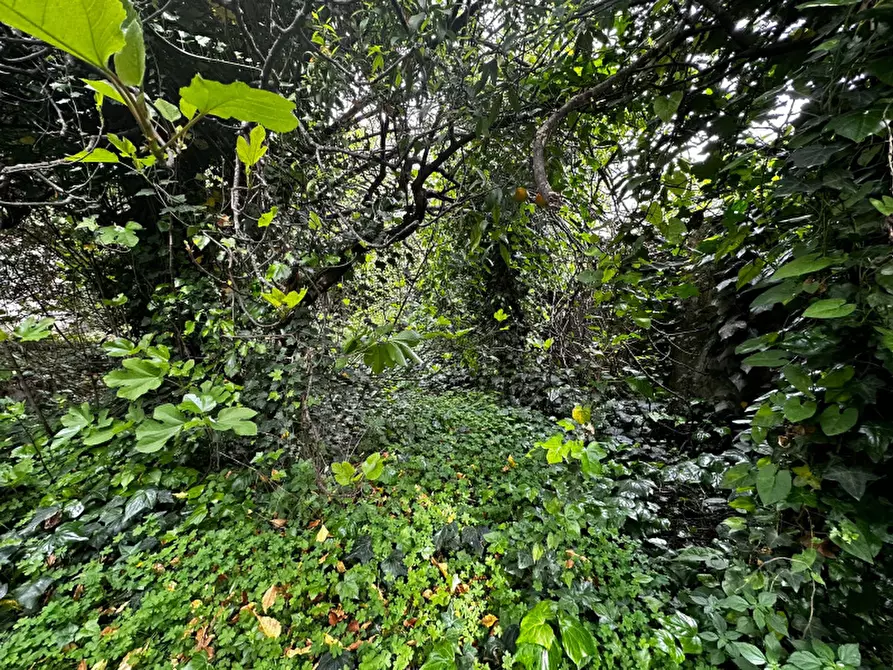 Immagine 18 di Appartamento in vendita  in Via Salvo D'Acquisto a Boscotrecase