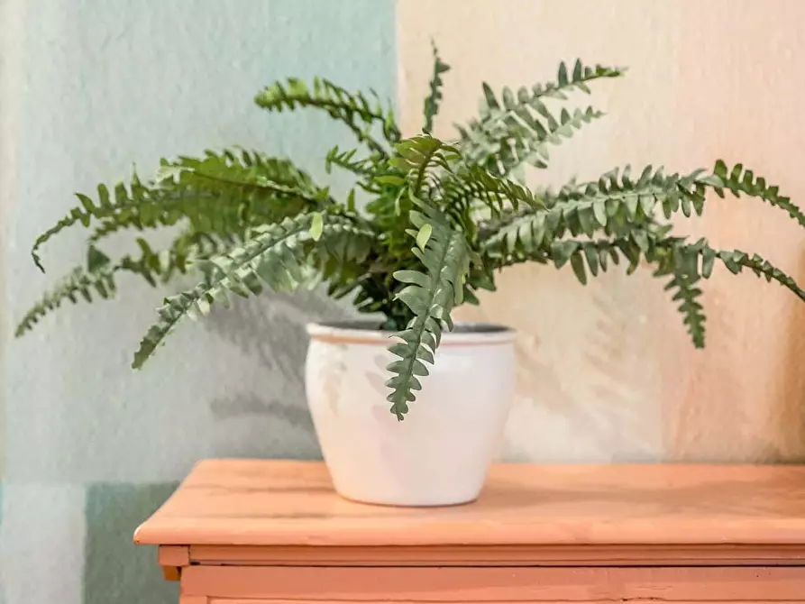 Immagine 18 di Appartamento in affitto  in Via Castelmaraldo15 a Modena