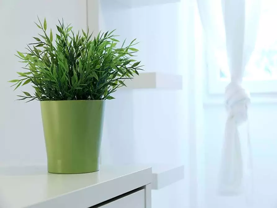 Immagine 8 di Camera in affitto  in Via Salvatore Barzilai15 a Milano