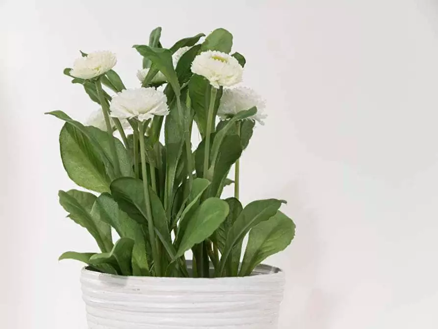 Immagine 23 di Camera in affitto  in Via Bartolomeo D'Alviano21 a Milano