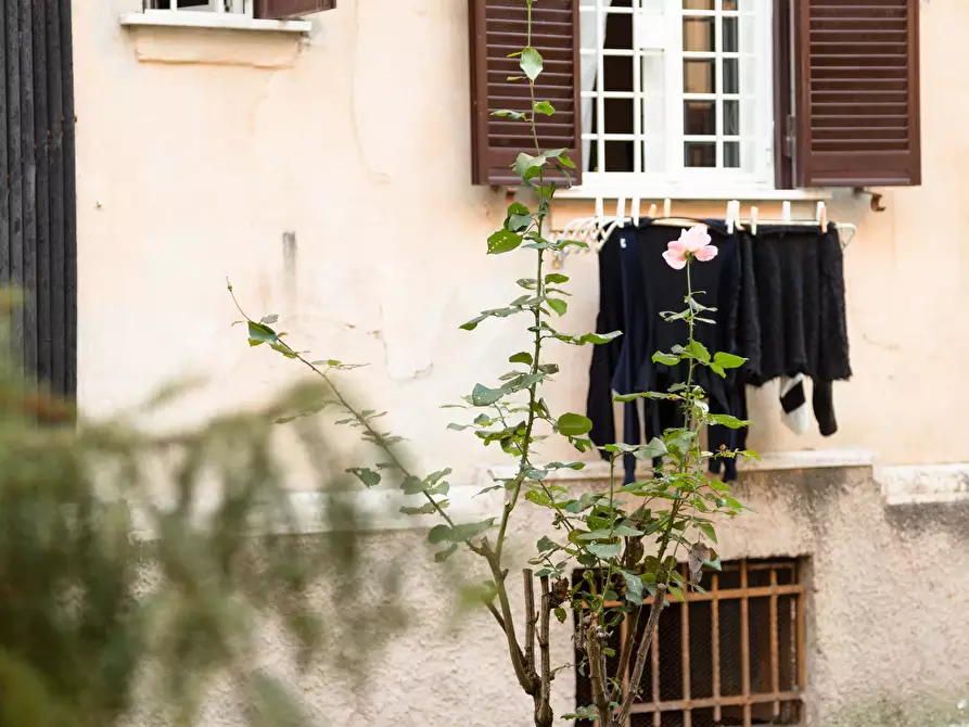 Immagine 24 di Appartamento in affitto  in Via Aldo Manuzio95 a Roma