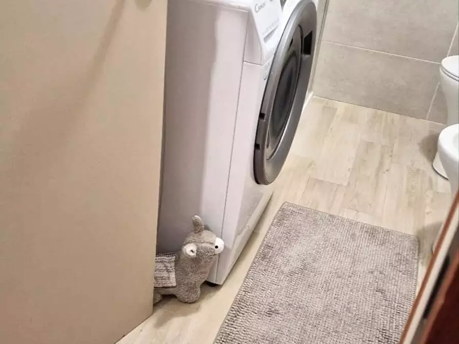 Immagine 8 di Appartamento in affitto  in Via del Portello15 a Padova