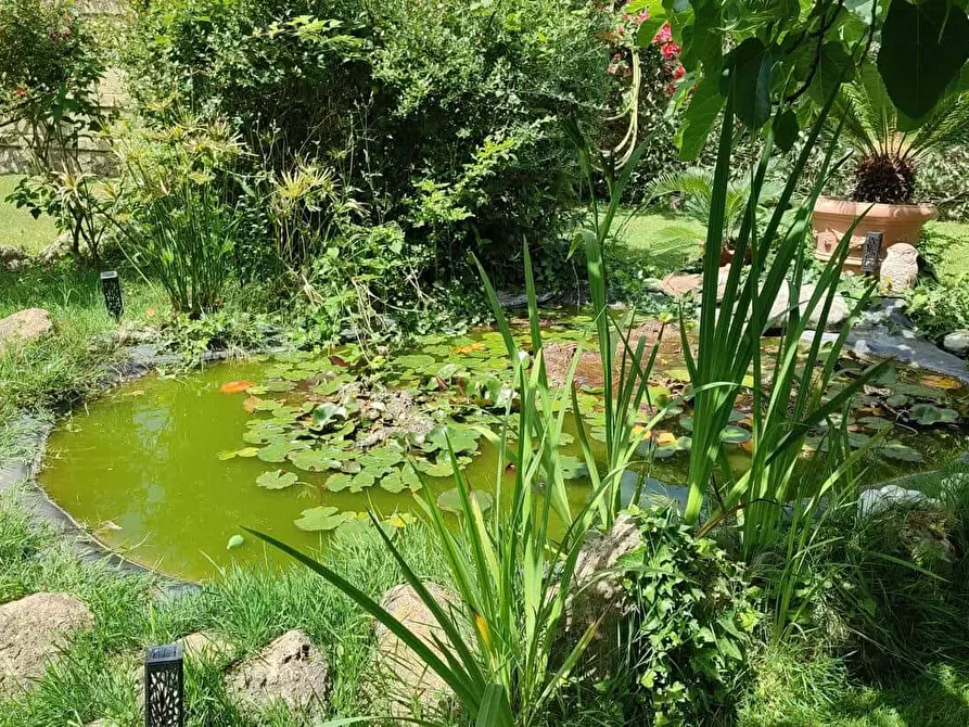 Immagine 71 di Appartamento in affitto  in Via Jacopo Melani7 a Roma