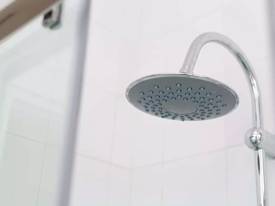 Immagine 26 di Appartamento in affitto  in Via San Carlo17 a Bologna